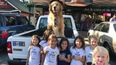 Town in America elects golden retriever as mayor because he is an extremely good boy