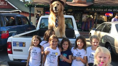 Town in America elects golden retriever as mayor because he is an extremely good boy