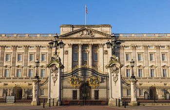 Man arrested at Buckingham Palace on suspicion of carrying a firearm