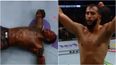 Dominick Reyes got both a knockout and a unanimous decision win on UFC 229 card