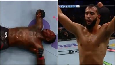 Dominick Reyes got both a knockout and a unanimous decision win on UFC 229 card