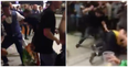 Chaos erupts after UFC 229 as McGregor and Khabib fans engage in nasty stadium brawl