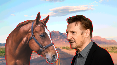 Exclusive interview with the horse that remembered Liam Neeson