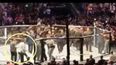 Irish fan rushed into Octagon at UFC 229 in attempt to protect Conor McGregor