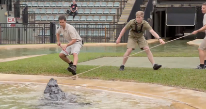 Steve Irwin’s teenage son follows in dad’s footsteps and feeds Australia Zoo’s most terrifying crocodile