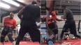 Deontay Wilder’s training partner doing his utmost to mimic Tyson Fury in the ring