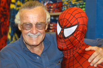 Netflix has just added an incredibly cool tribute to Stan Lee