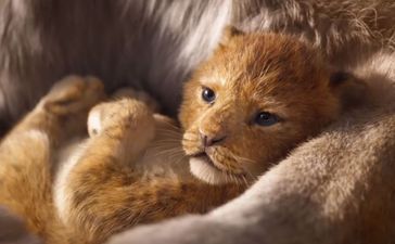 People aren’t happy that the new Lion King is being called ‘live action’ – this is why