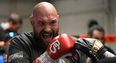 Boxing fans warned about illegally streaming Fury Wilder fight