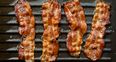 No, vegans are not trying to ban the phrase ‘bringing home the bacon’