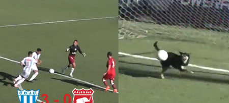 Very good boy makes very good save in South American football match