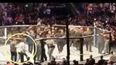 UFC issue indefinite ban to Conor McGregor fan who ran into Octagon at UFC 229