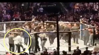 UFC issue indefinite ban to Conor McGregor fan who ran into Octagon at UFC 229