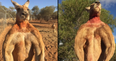 Roger the ripped kangaroo passes away aged 12