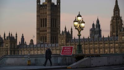 British ‘yellow vest’ protesters block Westminster bridge in support of Brexit