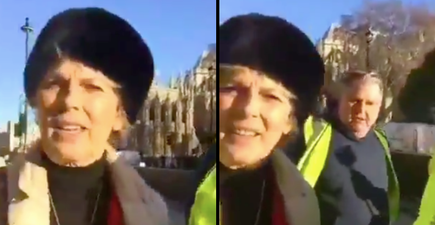 Leave supporters chase pro-Remain MP Anna Soubry down street shouting ‘traitor’ and ‘Hitler’