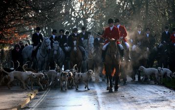 Labour announces plans to strengthen hunting ban