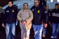 El Chapo allegedly paid $100m bribe to former Mexican president