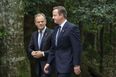 David Cameron never really believed he’d have to hold a Brexit referendum, says Donald Tusk