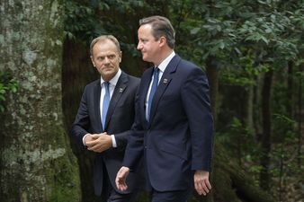 David Cameron never really believed he’d have to hold a Brexit referendum, says Donald Tusk