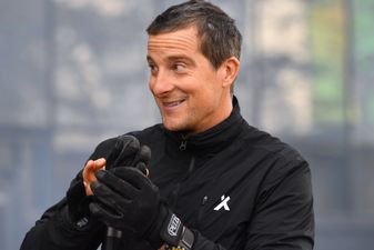 Bear Grylls faces a fine after killing and boiling a frog