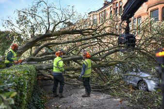 ‘Danger to life’ weather warning as 80mph Storm Freya winds to batter UK