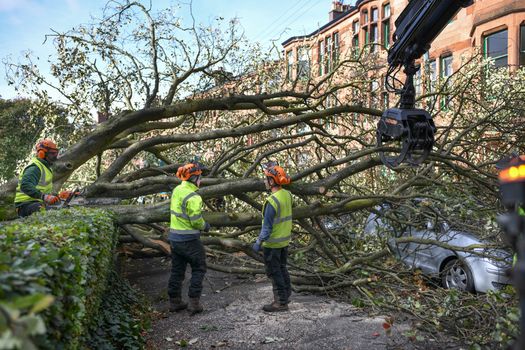 GLASGOW, SCOTLAND - SEPTEMBER 20: Workmen clear trees in Marlborough Avenue brought down yesterdayÕs storm which seen winds of up to 100mph on September 20, 2018 in Glasgow,Scotland. Many areas of Scotland are clearing up damage caused by Storm Ali which brought down trees and power lines and affected many transport routes. (Photo by Jeff J Mitchell/Getty Images)