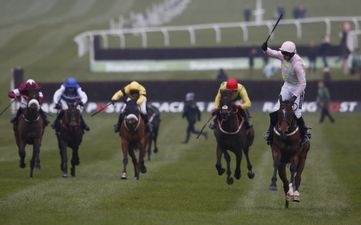 Predicting the winner of The Racing Post Arkle based solely on the horses’ names