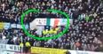 Celtic fan chases after stewards who removed his flag during win over Dundee