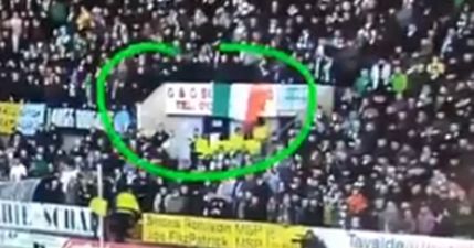 Celtic fan chases after stewards who removed his flag during win over Dundee