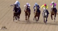 Two amorous rabbits forced to flee horse racing track during race