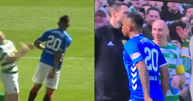 morelos-scott-brown