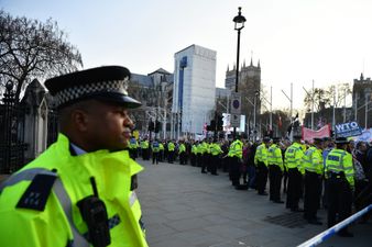 Over 10,000 police officers put on standby to protect MPs amid growing fears of Brexit riots