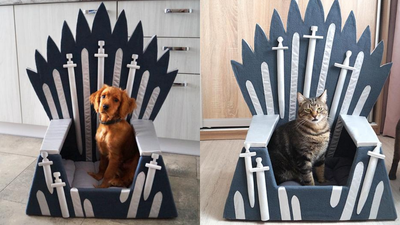 You can buy beds for your pets shaped like the Iron Throne