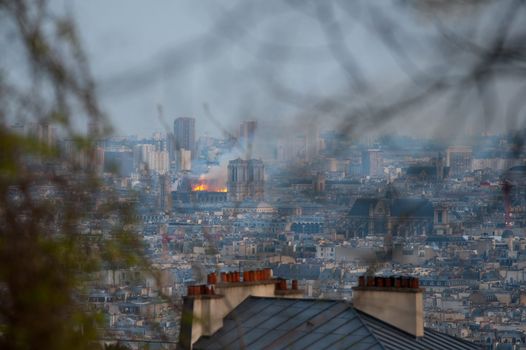 The Notre Dame burns in central Paris as a fire topples its spire.