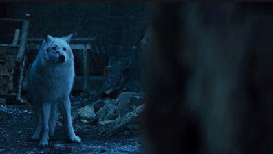 Something about Jon Snow and his wolf has annoyed a lot of people