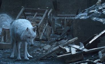 Game of Thrones director explains why Jon Snow didn’t give his wolf a goodbye pet