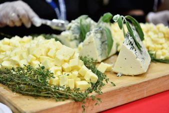 All-you-can-eat cheese festivals are now a thing in the UK