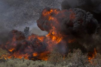 The Guardian issues staff-wide changes to language in climate change reporting