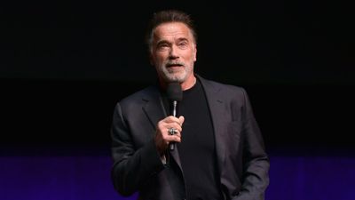 Arnold Schwarzenegger attacked at event in South Africa