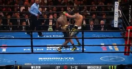 Deontay Wilder sends message to Anthony Joshua after devastating Breazeale knockout