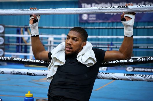 anthony joshua