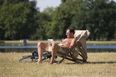 30C in June: ‘Hottest summer ever’ possible