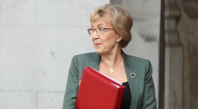 Andrea Leadsom quits government as pressure mounts on Theresa May