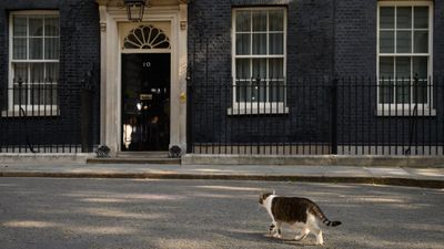 Almost half the country want the new prime minister to hold a general election