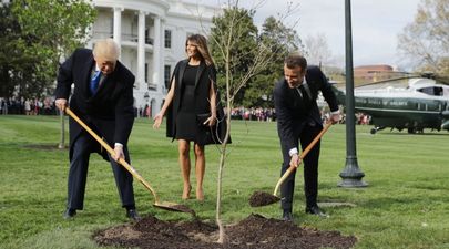 The ‘friendship tree’ planted by Trump and Macron last year has died