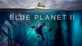 PSA: Blue Planet II is now on Netflix