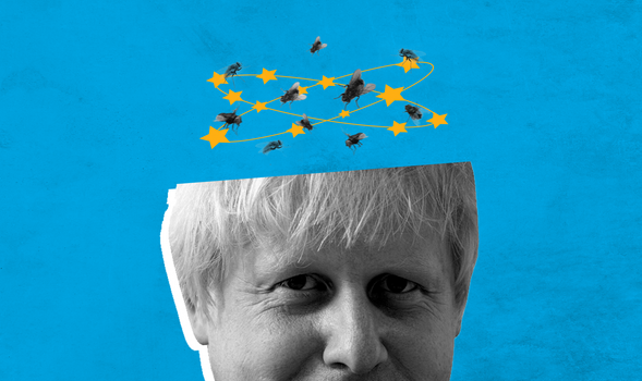 Boris Johnson is leading the Conservative leadership contest, despite showing no policy ingenuity