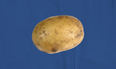 Ranking the best and worst forms of potato in the world