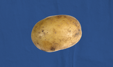 Ranking the best and worst forms of potato in the world